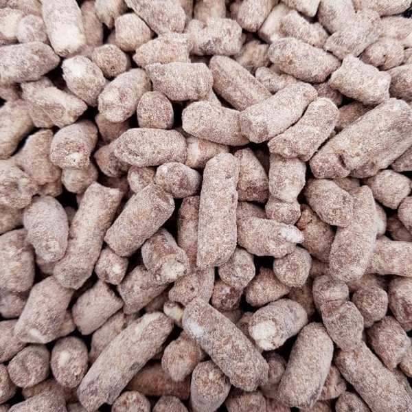 Chocolate Nibbles - Jessica's Sweets